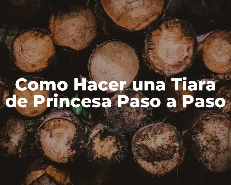 Como Hacer una Tiara de Princesa Paso a Paso