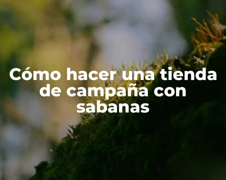 Cómo hacer una tienda de campaña con sabanas