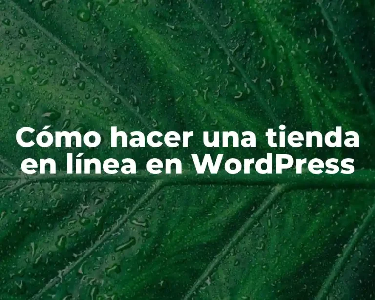 Cómo hacer una tienda en línea en WordPress
