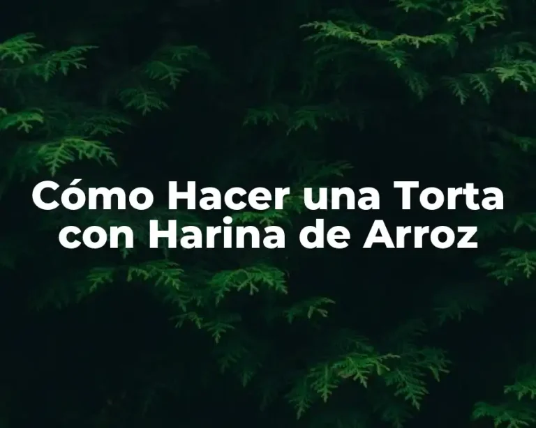 Cómo Hacer una Torta con Harina de Arroz