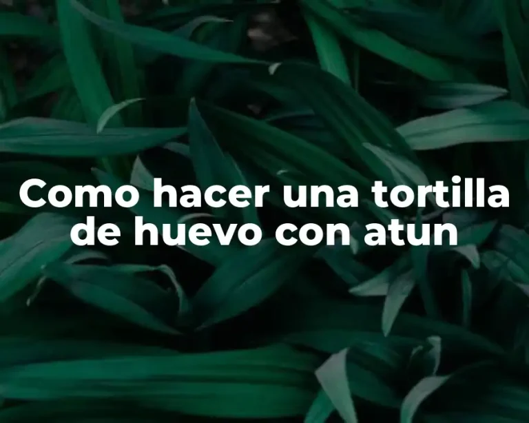 Como hacer una tortilla de huevo con atun