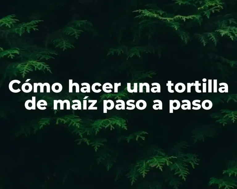 Cómo hacer una tortilla de maíz paso a paso