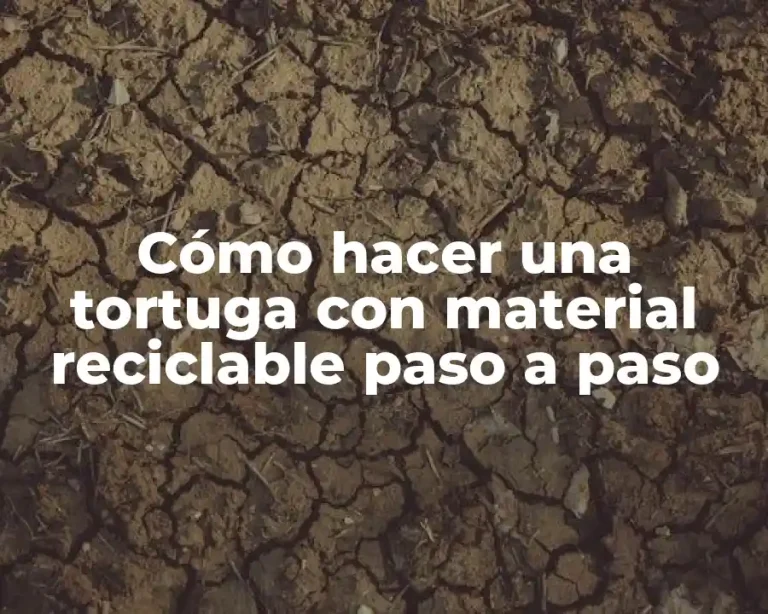 Cómo hacer una tortuga con material reciclable paso a paso