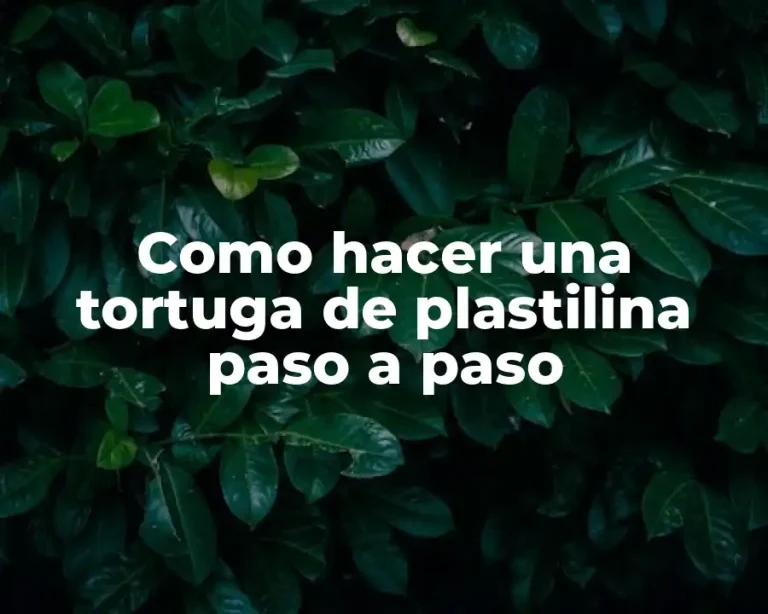 Como hacer una tortuga de plastilina paso a paso