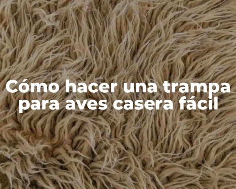 Cómo hacer una trampa para aves casera fácil