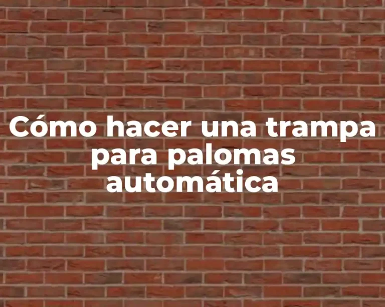 Cómo hacer una trampa para palomas automática