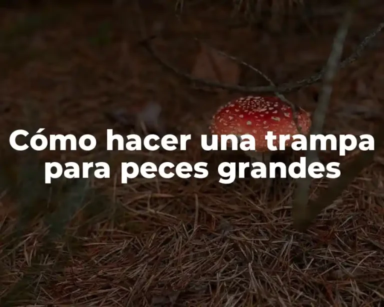 Cómo hacer una trampa para peces grandes