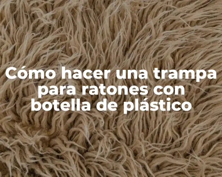 Cómo hacer una trampa para ratones con botella de plástico