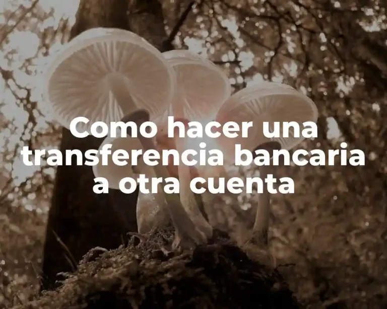 Como hacer una transferencia bancaria a otra cuenta
