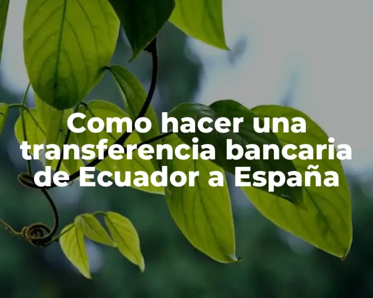 Como hacer una transferencia bancaria de Ecuador a España