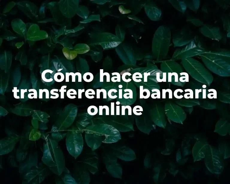 Cómo hacer una transferencia bancaria online