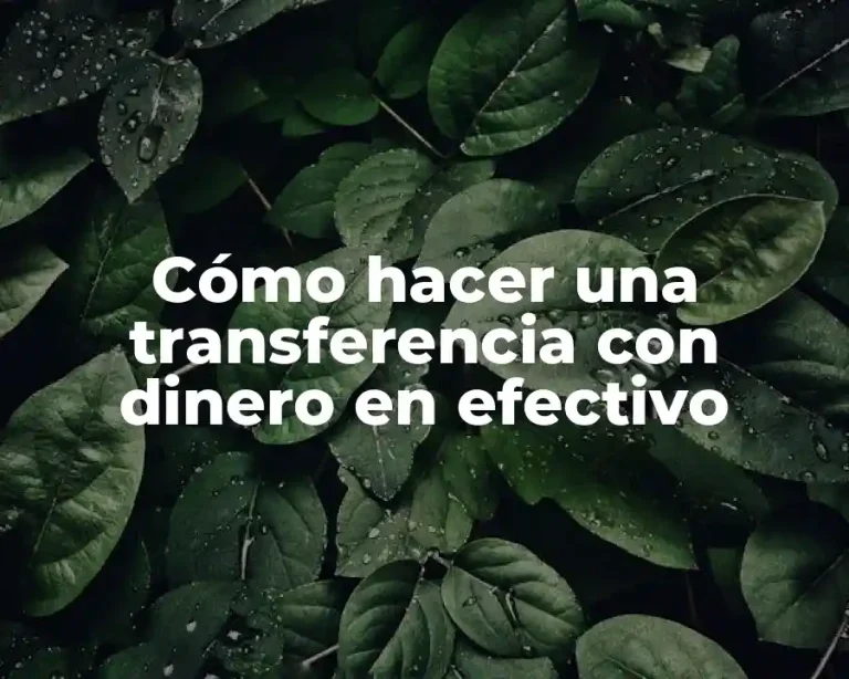 Cómo hacer una transferencia con dinero en efectivo