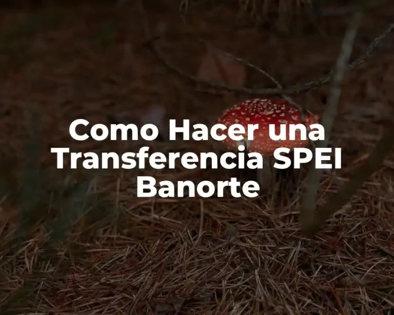 Como Hacer una Transferencia SPEI Banorte