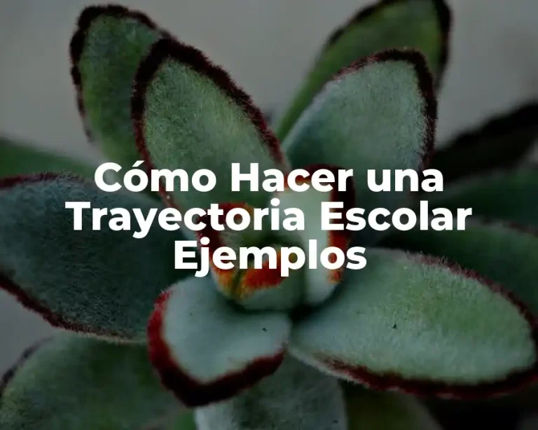 Cómo Hacer una Trayectoria Escolar Ejemplos