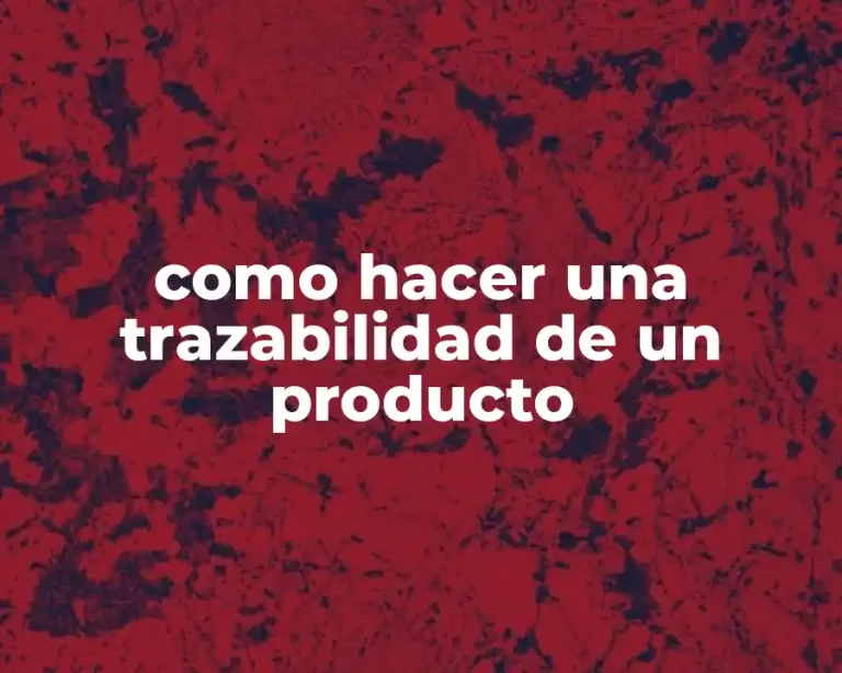 como hacer una trazabilidad de un producto