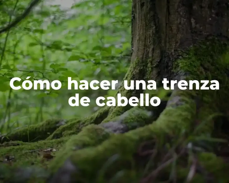 Cómo hacer una trenza de cabello