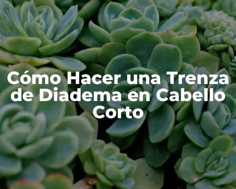 Cómo Hacer una Trenza de Diadema en Cabello Corto