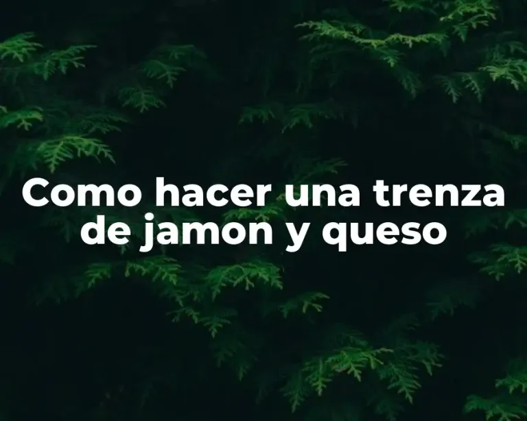 Como hacer una trenza de jamon y queso