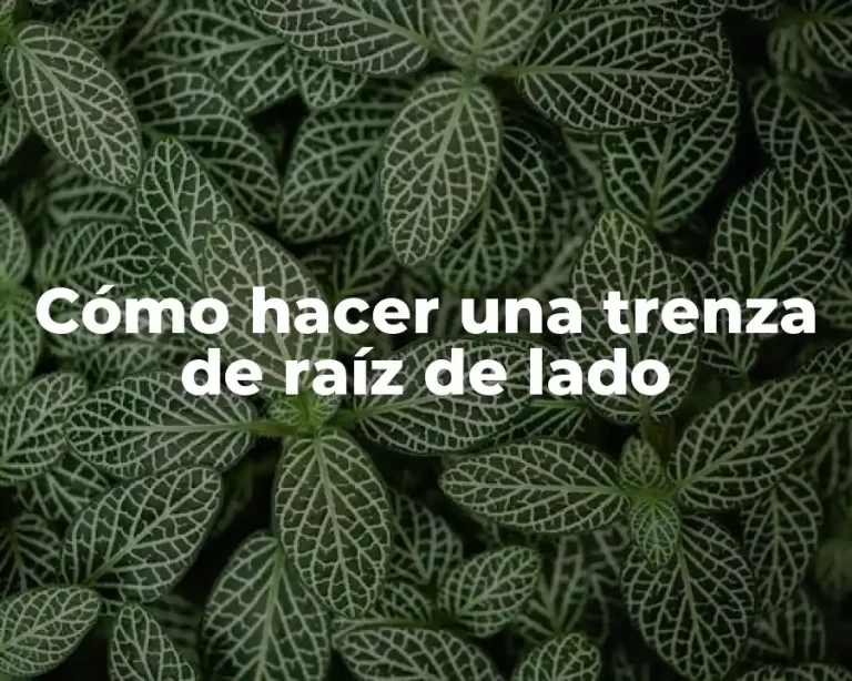 Cómo hacer una trenza de raíz de lado