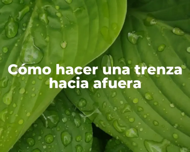 Cómo hacer una trenza hacia afuera