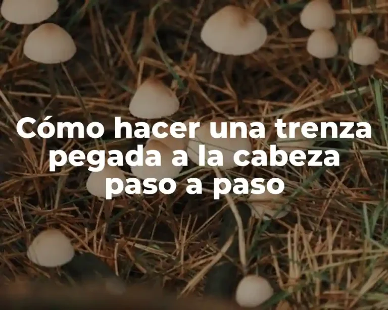 Cómo hacer una trenza pegada a la cabeza paso a paso