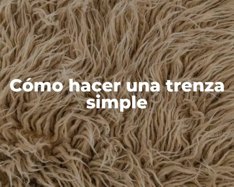 Cómo hacer una trenza simple