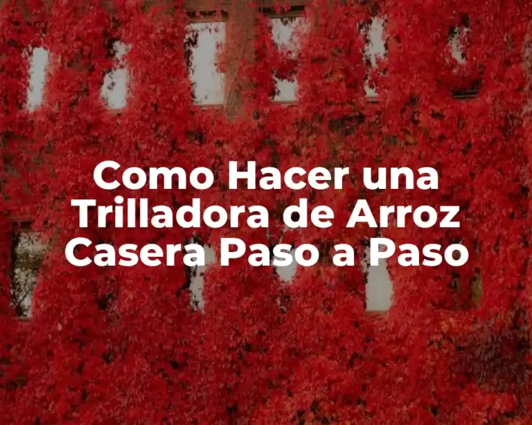 Como Hacer una Trilladora de Arroz Casera Paso a Paso