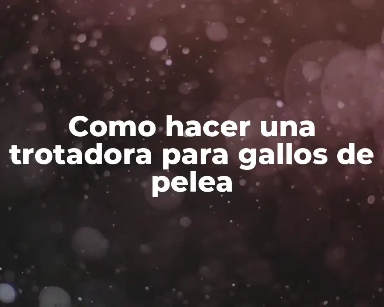 Como hacer una trotadora para gallos de pelea
