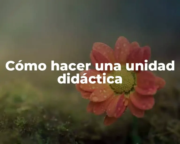 Cómo hacer una unidad didáctica