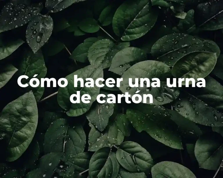 Cómo hacer una urna de cartón