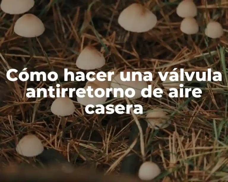 Cómo hacer una válvula antirretorno de aire casera