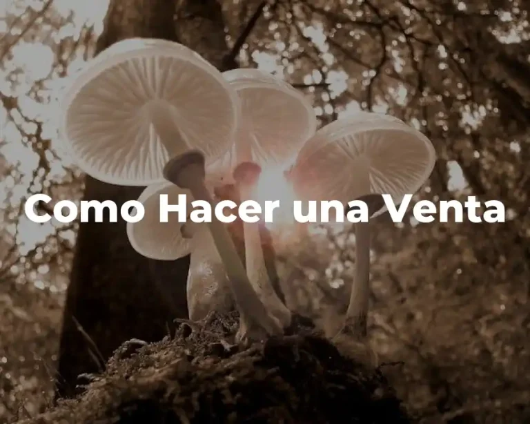 Como Hacer una Venta
