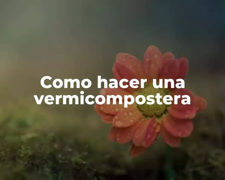 Como hacer una vermicompostera