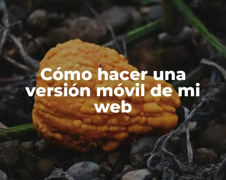 Cómo hacer una versión móvil de mi web