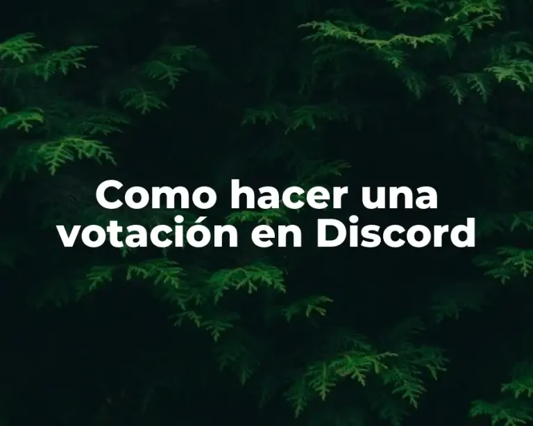 Como hacer una votación en Discord