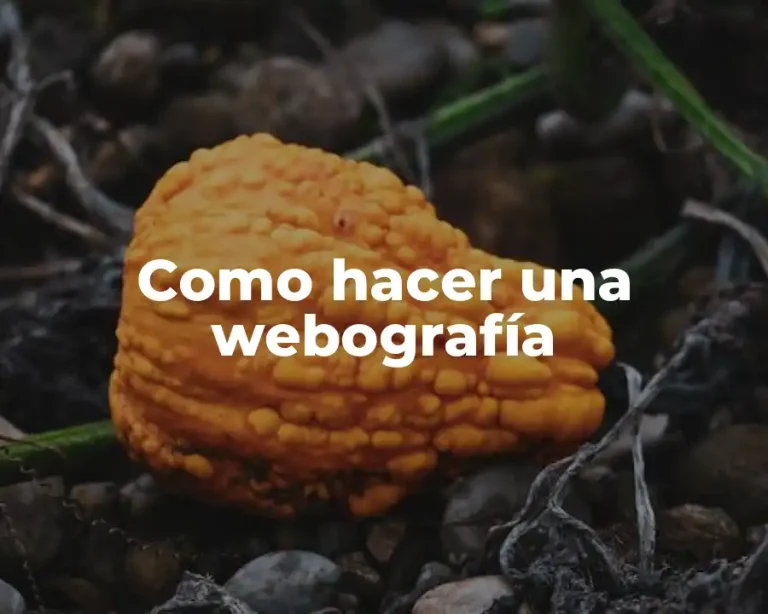 Como hacer una webografía