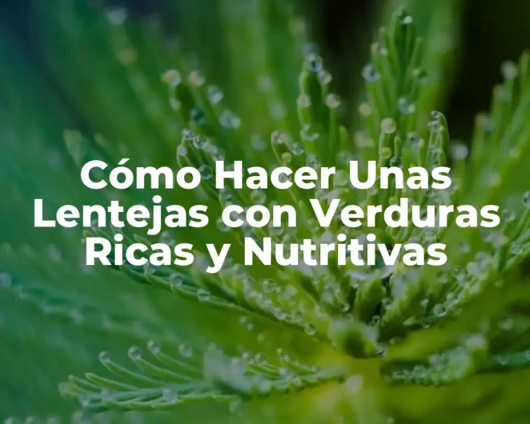 Cómo Hacer Unas Lentejas con Verduras Ricas y Nutritivas