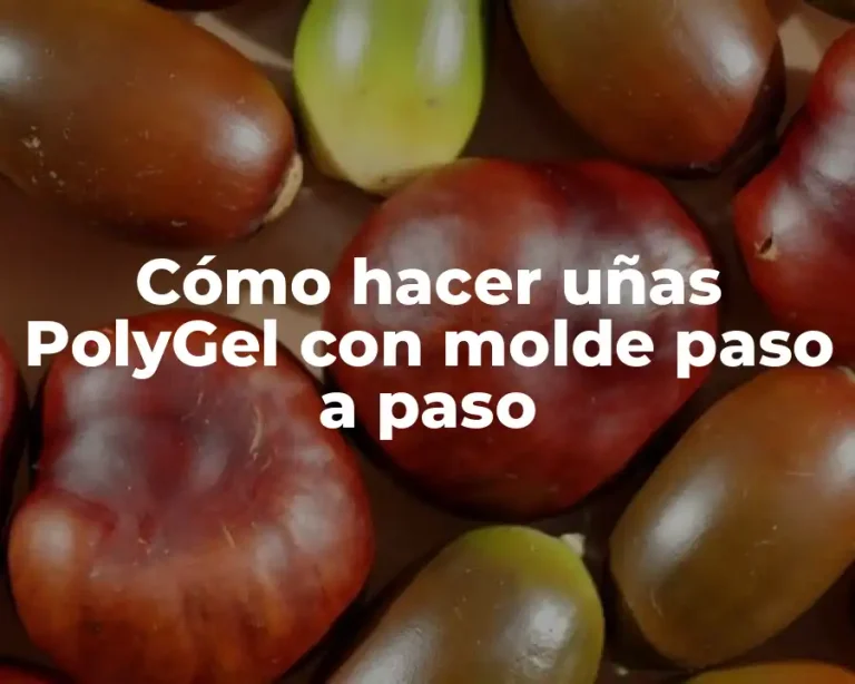 Cómo hacer uñas PolyGel con molde paso a paso