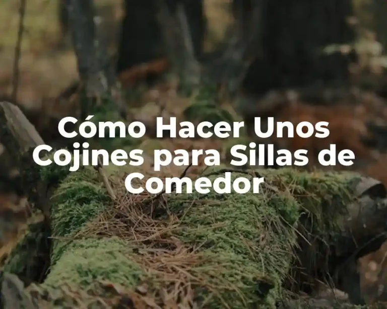 Cómo Hacer Unos Cojines para Sillas de Comedor