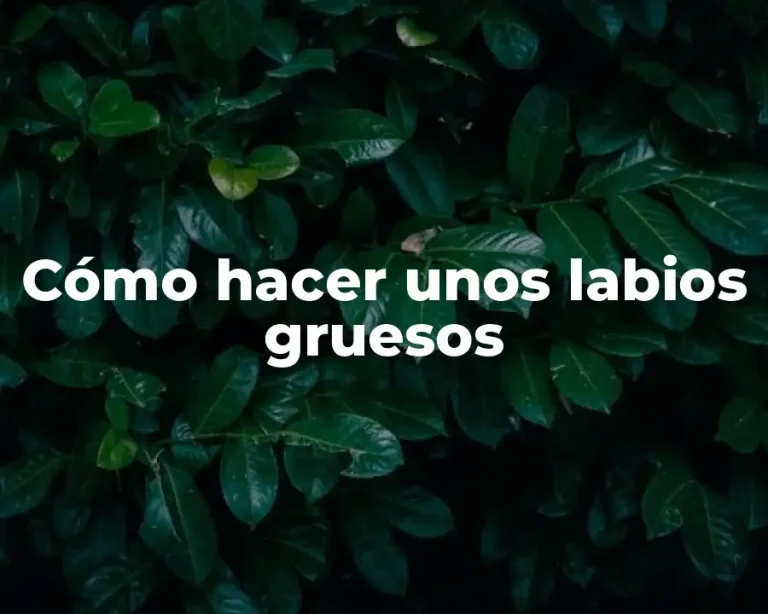 Cómo hacer unos labios gruesos