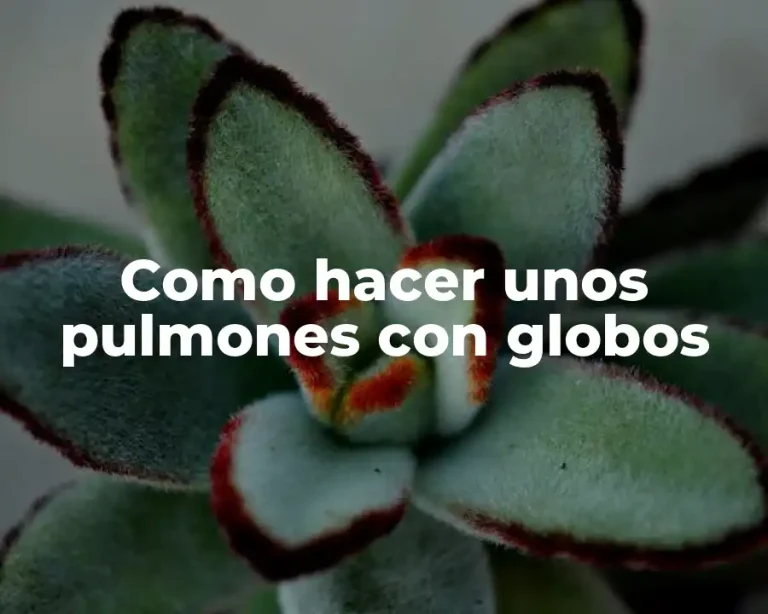 Como hacer unos pulmones con globos