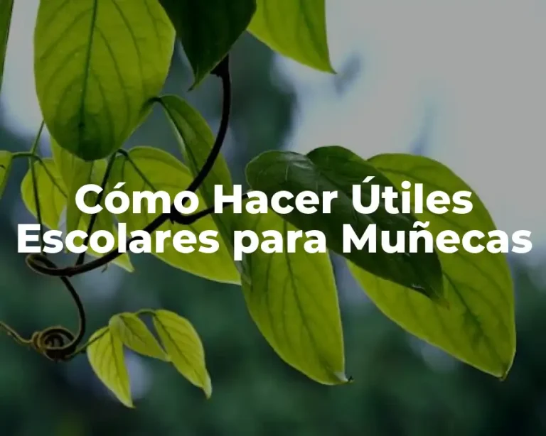 Cómo Hacer Útiles Escolares para Muñecas