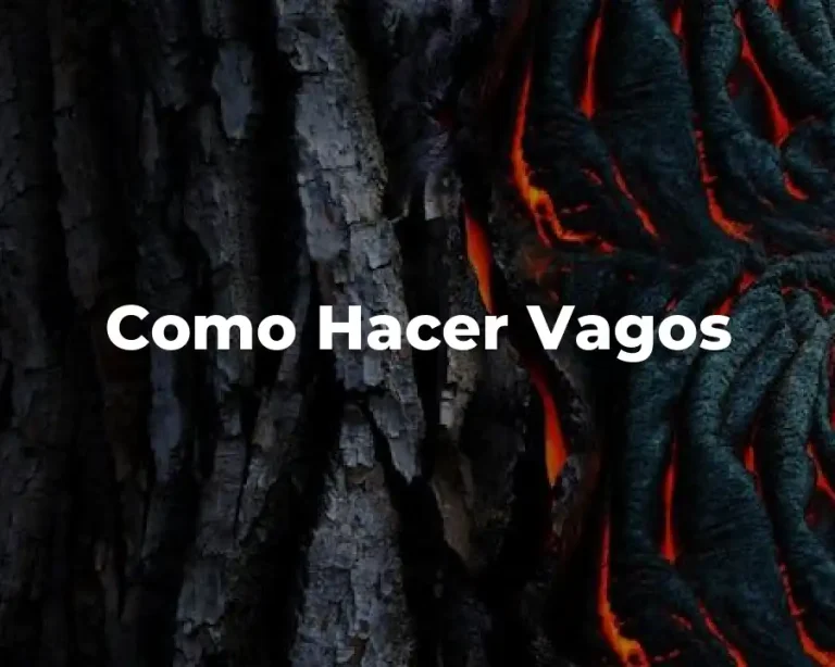 Como Hacer Vagos