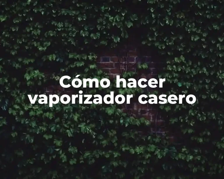 Cómo hacer vaporizador casero