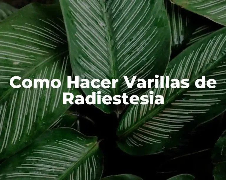 Como Hacer Varillas de Radiestesia