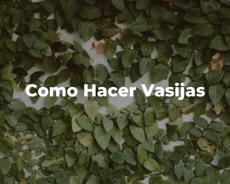 Como Hacer Vasijas