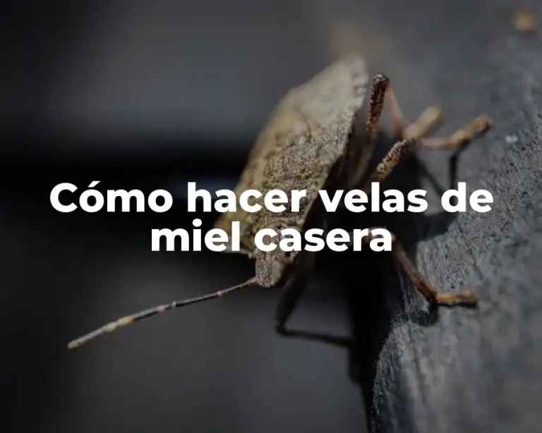 Cómo hacer velas de miel casera