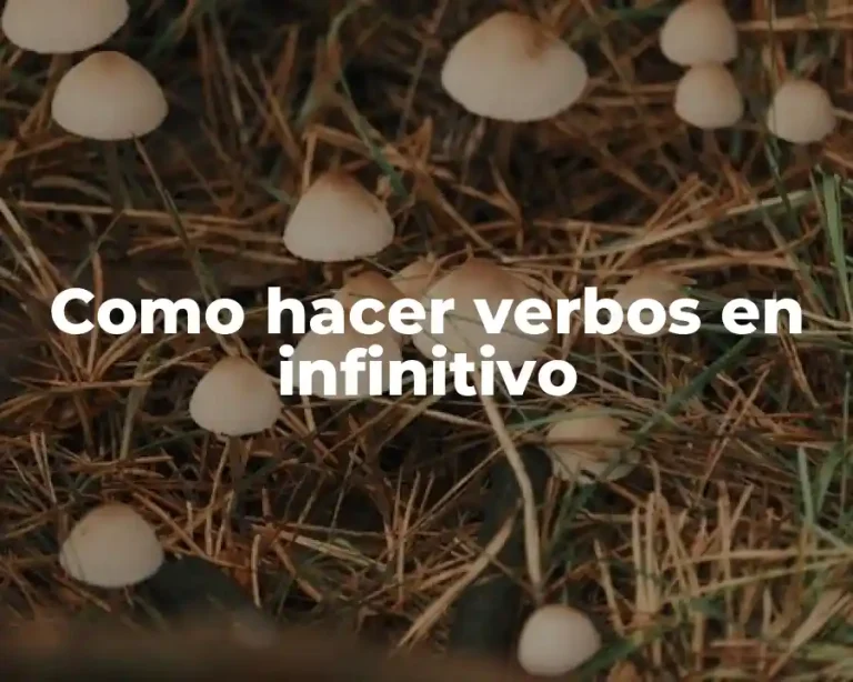 Como hacer verbos en infinitivo