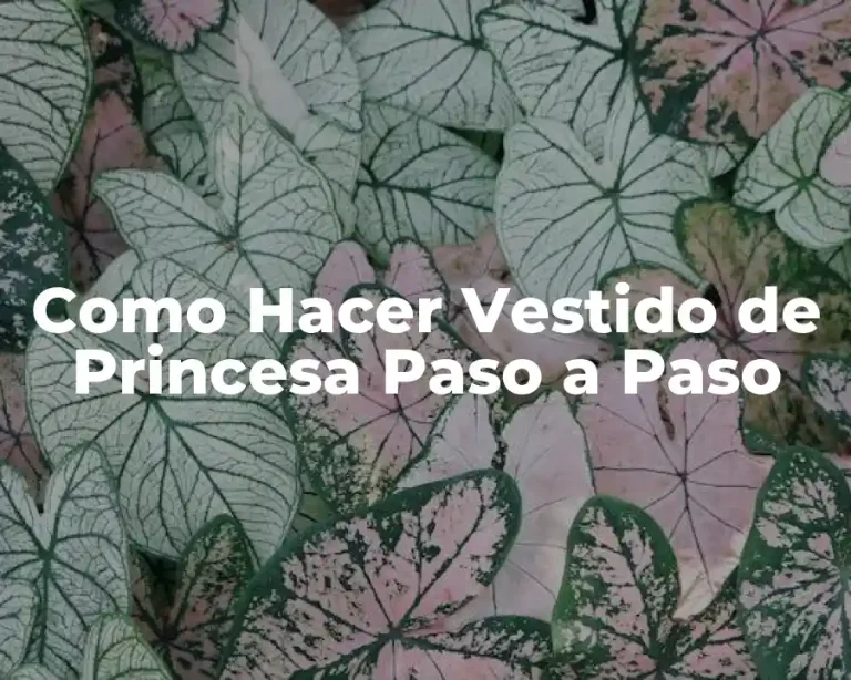 Como Hacer Vestido de Princesa Paso a Paso