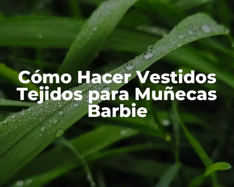Cómo Hacer Vestidos Tejidos para Muñecas Barbie